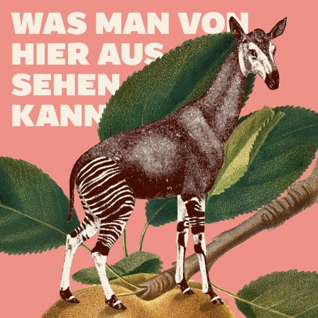 Mariana Leky: Was man von hier aus sehen kann (AudiobookFormat, Deutsch language)