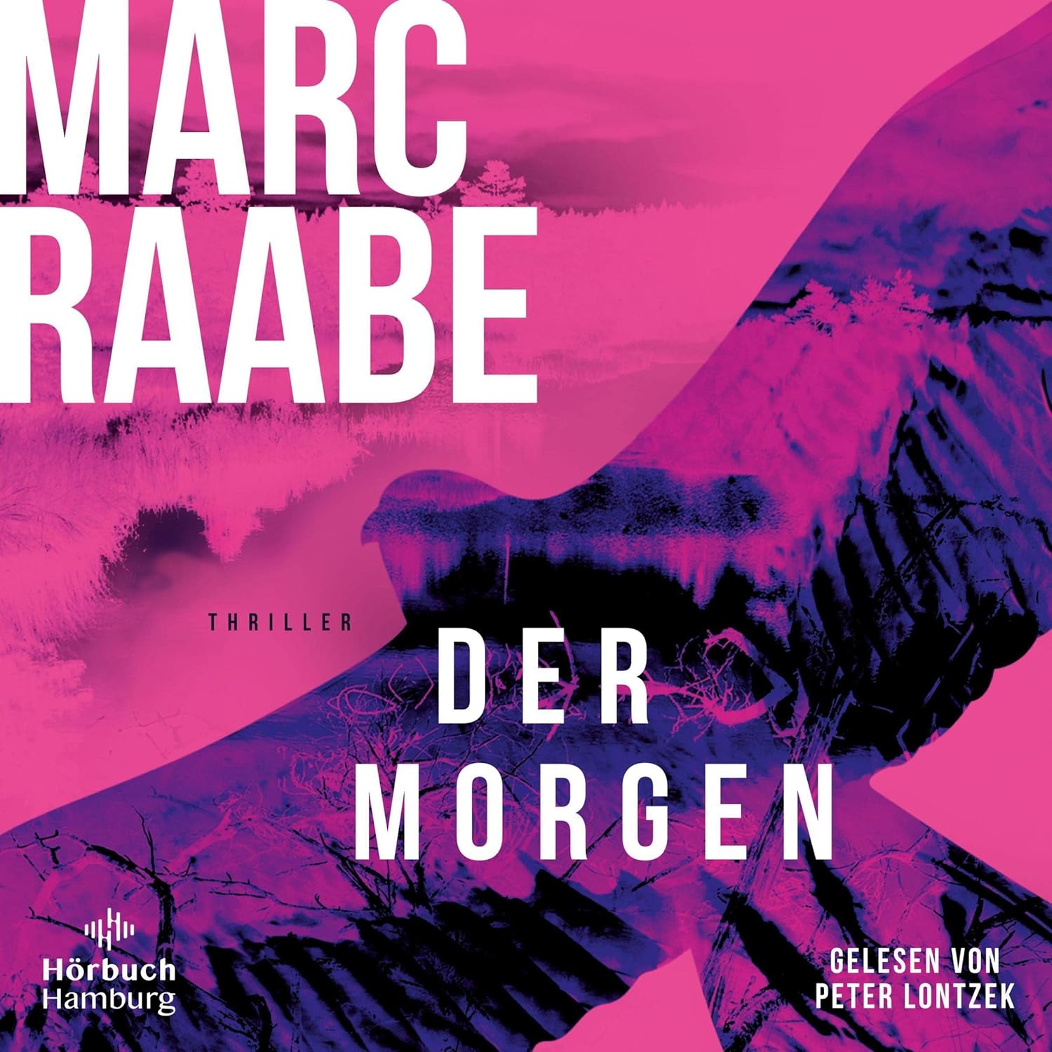 Marc Raabe: Der Morgen (AudiobookFormat, Deutsch language, Hörbuch Hamburg)